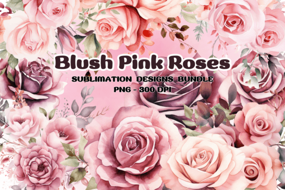 Download Blush Pink Roses Flowers Watercolor PNG - Premium Resources