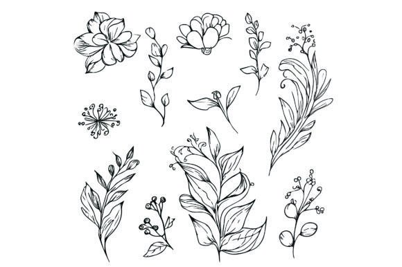 Download Botanical Drawings, Botanical Flower - Premium Bundle