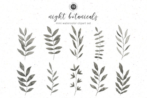 Download Black Botanical Watercolor Clipart - Premium Resources