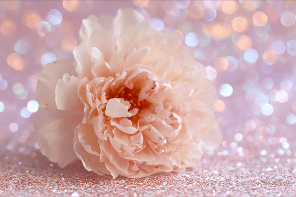 Download Blush Flower Glitter Background - Blush Collection